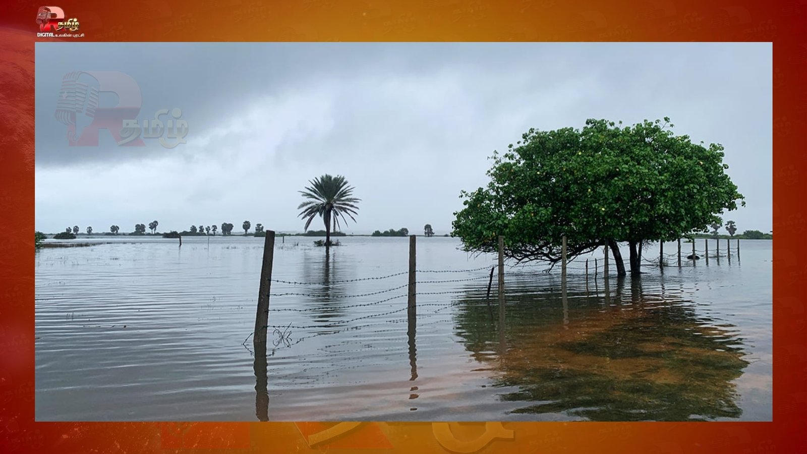 யாழின் நெற்பயிர் செய்கை நீரில் மூழ்கிய பாதிப்பு!